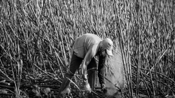 Sanatoria 2020: Guida all’emersione dei rapporti di lavoro